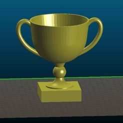 slic.jpg winner cup