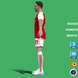 Vieira_7.jpg 3D Rigged Fabio Vieira Arsenal 2024