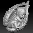 sleeping-baby-in-the-shell-3d-model-obj-mtl-4.jpg Sleeping baby in the shell