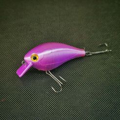 IMG_20200618_100708-01.jpeg Free STL file Square Bill Crankbait fishing lure (one piece)・3D print model to download