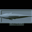 Zander-statue-35.png fish zander / pikeperch / Sander lucioperca statue detailed texture for 3d printing