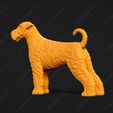 155-Airedale_Terrier_Pose_02.jpg Airedale Terrier Dog 3D Print Model Pose 02