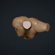 08.jpg Female Torso 3D Model