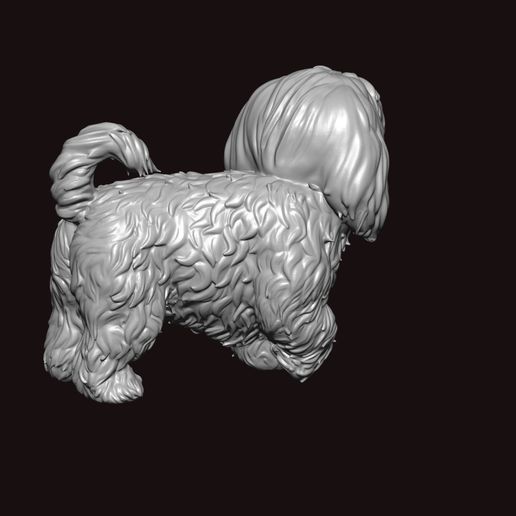 4aaa.jpg lhasa también a pie