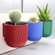 Hanging-pots-cover.jpg Hanging pots