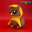 IMG_8049.jpeg FANTASTICRAFT3D - Mystic Owl flexi- Fantasy, Mystical, Wizard, D&D
