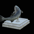 Barracuda-huba-trophy-6.png fish great barracuda statue detailed texture for 3d printing