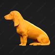 834-Basset_Bleu_de_Gascogne_Pose_06.jpg Basset Bleu de Gascogne Dog 3D Print Model Pose 06
