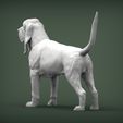 BLOODHOUND5.jpg 3D-Datei BLOODHOUND 3D-Druckmodell・Design für 3D-Drucker zum herunterladen
