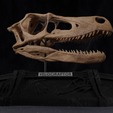 Velociraptor_Skull_002.png Velociraptor Dinosaur Skull Replica