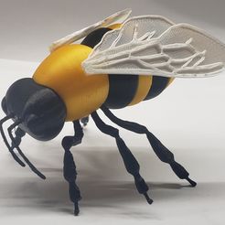 20220211_173936.jpg 3D-Datei Honigbiene von 3DBuzzStudios kostenlos・Objekt zum Herunterladen und Drucken in 3D