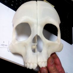 Mask_skull.jpg Mask Skull