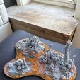IMG_4237.jpg Alien coral (Type 3) collection