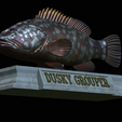 Dusky-grouper-21.png fish dusky grouper / Epinephelus marginatus statue detailed texture for 3d printing