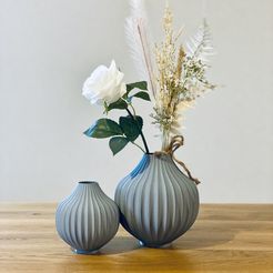 IMG_E1677.jpg Fichier 3D Vase 02・Idée pour impression 3D à télécharger