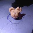 WhatsApp-Image-2022-04-03-at-08.19.20-4.jpeg MR.Hamster flexi