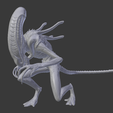 Captura-de-pantalla-672.png Xenomorph warrior 1 Aliens
