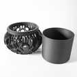 DSC04312.jpg The Lyren Planter Pot & Orchid Pot Hybrid with Drainage Tray: Modern and Unique Home Decor for Plants and Succulents
