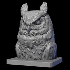 1.jpg Owl head