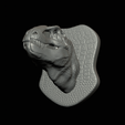 my_project-1-14.png t-rex head trophy on the wall / two faces / dinosaur
