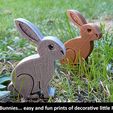 34b0a5ceff0e40bf805666a279d8bfd4_display_large.jpg Easter Bunnies
