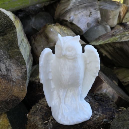 f810ec9724be56d5554178a8056478b2_display_large.jpg Owl