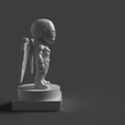 Falcon_Unrendered-3.png Chibi Falcon Sam Wilson Marvel 3D STL File
