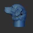 Shop4.jpg Dog whistle Golden Retriever - head motif-