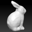 Screenshot_2.png Rabbit