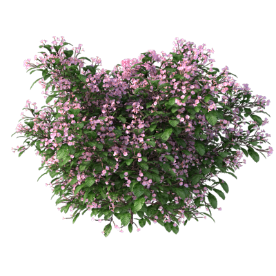 12-1.png Горшок Растение Дерево Домашний Декор 3D Модель 9-12