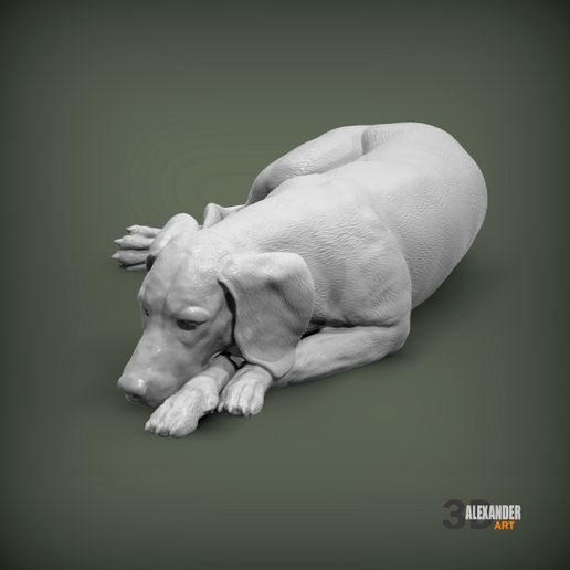 Hungarian Vizsla Sleeping 3D print model 3D model