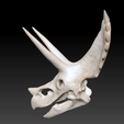 Ekran-Resmi-2024-12-07-13.21.35.png Triceratops Dinosaur Skull 3D Model