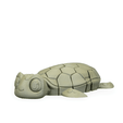 Myrtle,-the-Turtle-WB-7.png Myrtle, la tortue