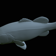 Bass-statue-39.png fish Largemouth Bass / Micropterus salmoides statue detailed texture for 3d printing