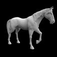 2.jpg Download file horse • 3D printable template, saeedpeyda