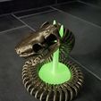 SERPENT SQUELETTE ARTICULÉ