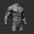 7.jpg Archivo 3D 4 Torsos masculinos・Modelo para descargar e imprimir en 3D, Daniartist