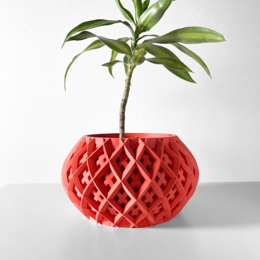 🪴 The Rokio Planter Pot with Drainage Tray & Stand: Modern and Unique ...