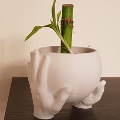 20190329_015818.jpg STL file Carrying Hands plant pot・3D printer model to download