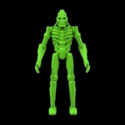 andriod_skeleton.jpg Free 3D file Android Skeleton Figure・3D print design to download