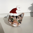 20231003_162351.png Cat - Christmas tree decoration
