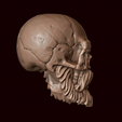 6.png Skull with beard and mustache