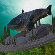 sumec-podstavec-high-quality-8.png catfish / Siluriformes / sumec velký underwater statue detailed texture for 3d printing