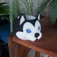 20220220_090509.jpg CUTE DOG VASE PLANTER