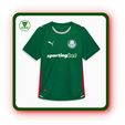 camiseta-local-palmeiras-2026.jpg PALMEIRAS 26/27 SHIRT WITH DECORATION INCLUDES KEYCHAIN ​​(NO AMS)