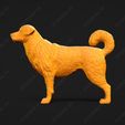 363-Anatolian_Shepherd_Dog_Pose_01.jpg Anatolian Shepherd Dog 3D Print Model Pose 01