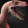 Jurassic-World-The-Raptor-sculpted-by-Yacine-BRINIS-025.jpg The Raptor Jurassic World 3D Model