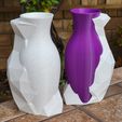 20230104_121615.jpg Emergence Vase