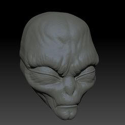 Face_alien.jpg Archivo STL Alien Face - BOMBA DE BAÑO DE MOLDE, CHAMPÚ SÓLIDO・Objeto imprimible en 3D para descargar, saditec