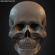 Highly-Detailed-Human-Skull-009.jpg Highly Detailed Human Skull